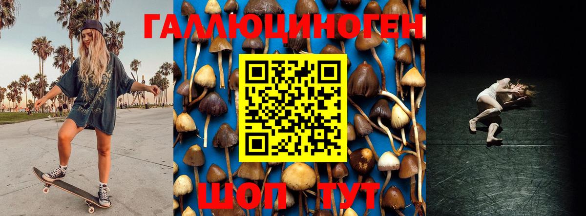 Псилоцибиновые грибы Psilocybine cubensis Нерюнгри