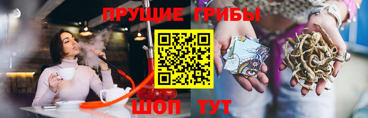 Нерюнгри  Псилоцибиновые грибы Psilocybe  Вход с VPN 